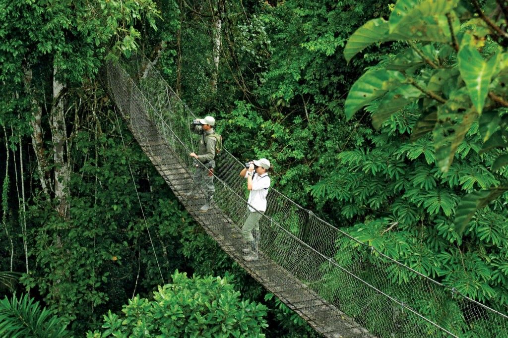 Inkaterra Canopy Walkway