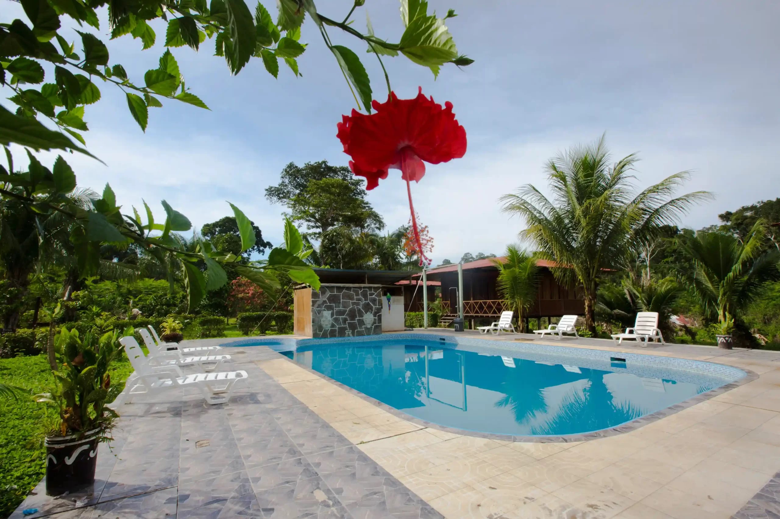 Monte Amazónico Lodge