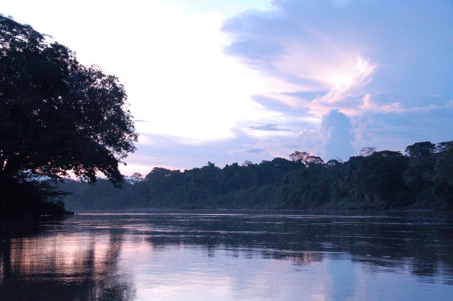 When to Visit Tambopata, Peru