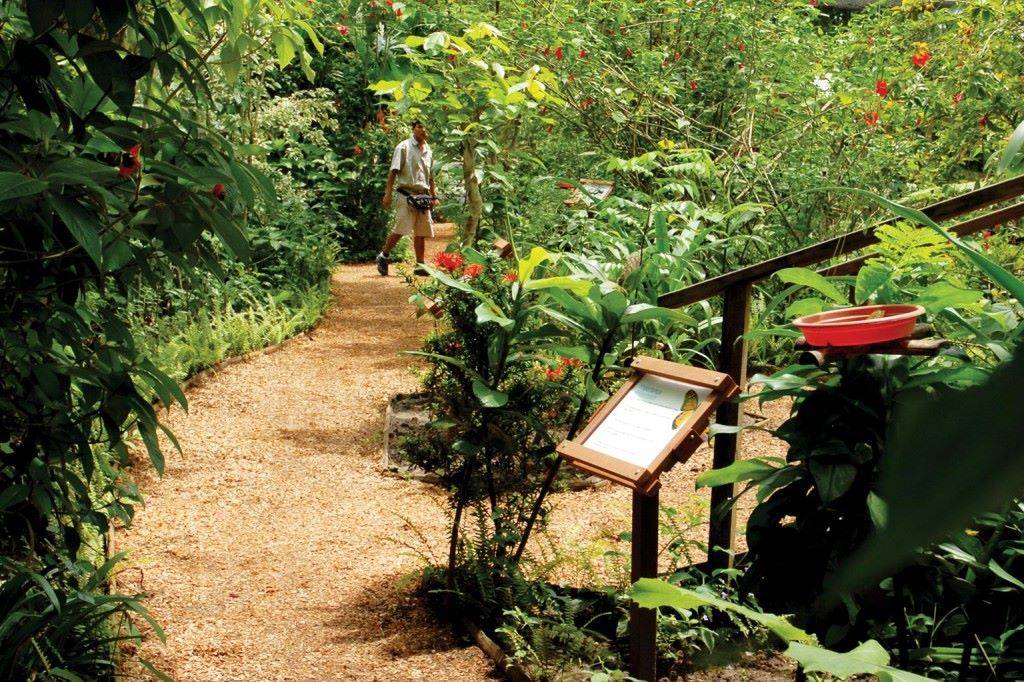 Inkaterra Butterfly House