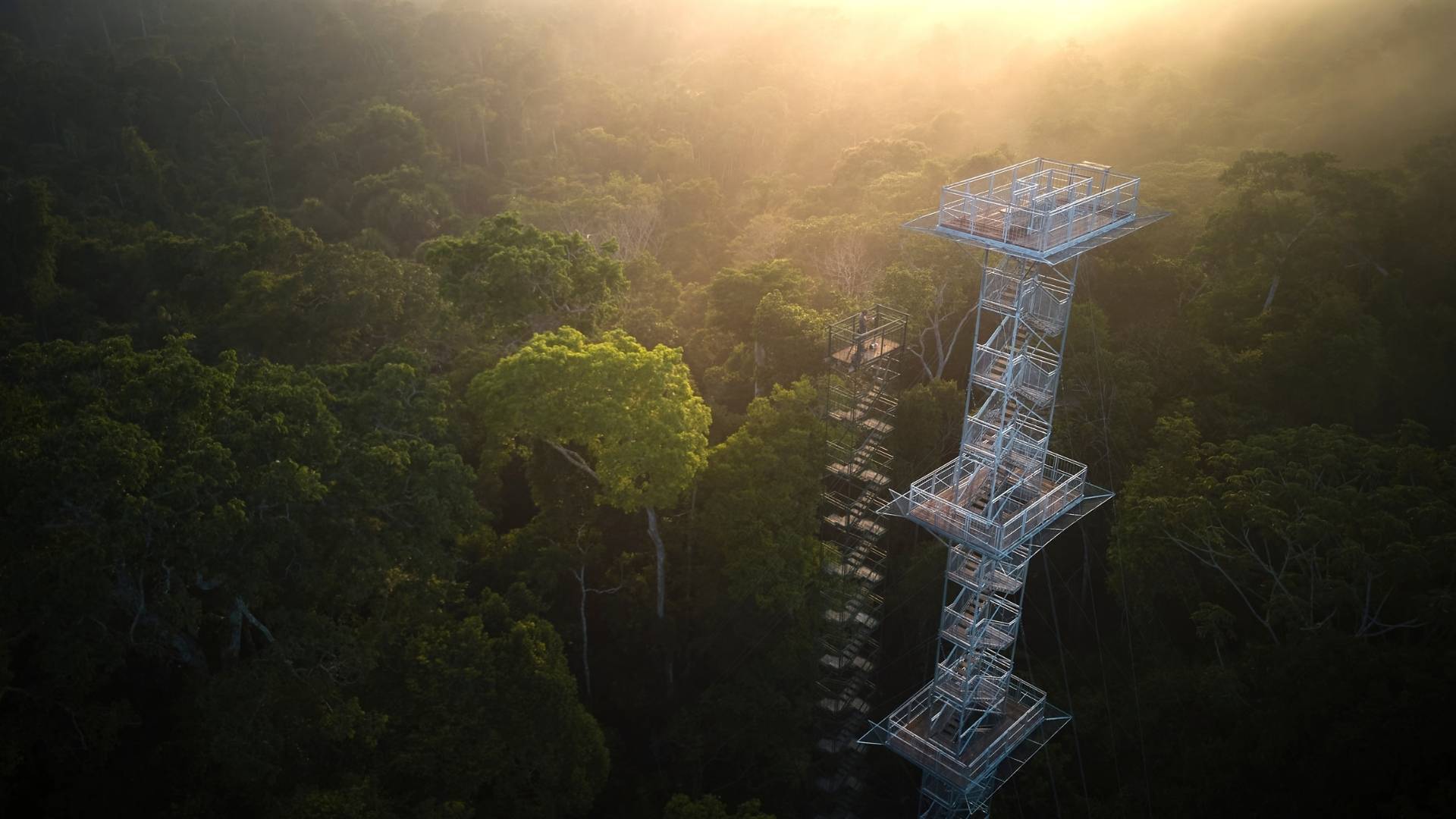 Posada Amazonas Torre de Observación