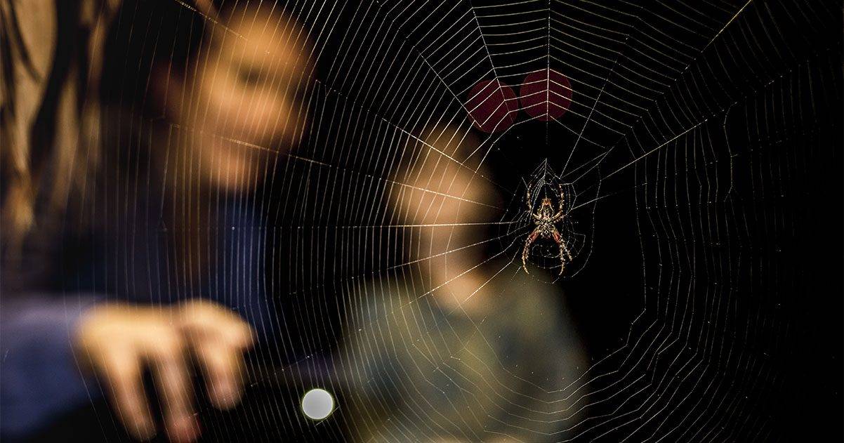 Araña durante caminata nocturna en la selva amazonica, Peru