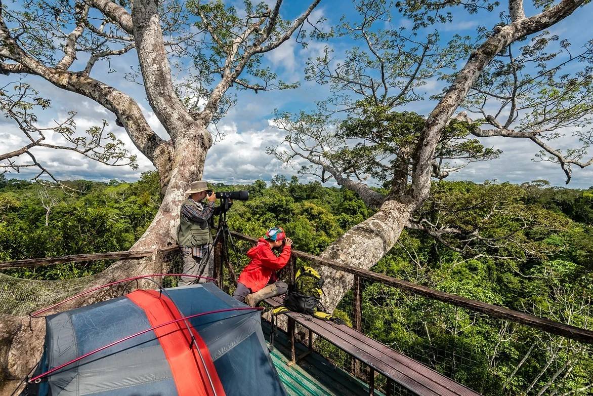 Taricaya Canopy Walkway