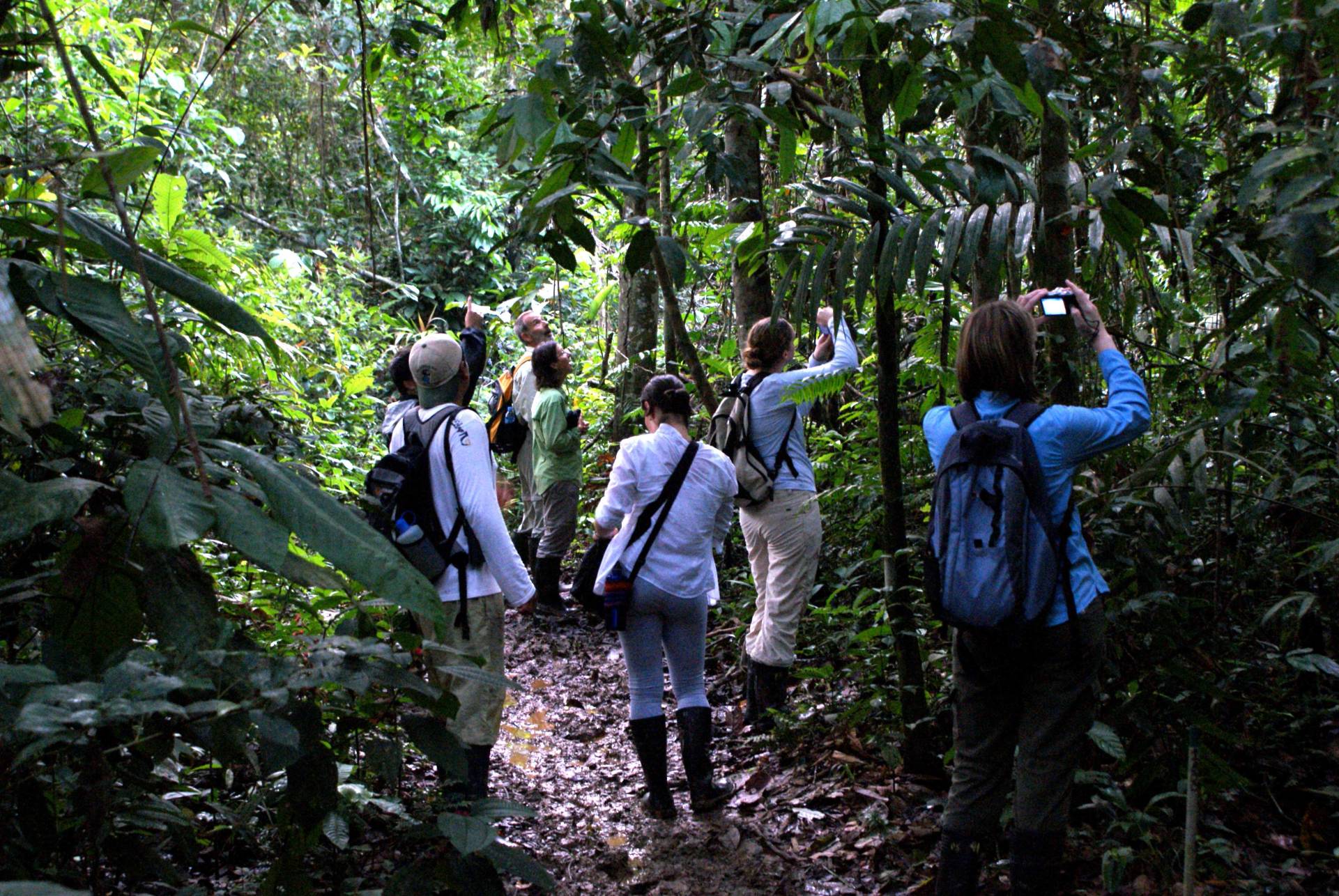 Caminatas por la selva amazónica
