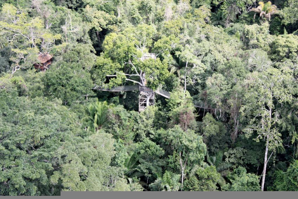 Inkaterra Canopy Walkway Tower - aerial view